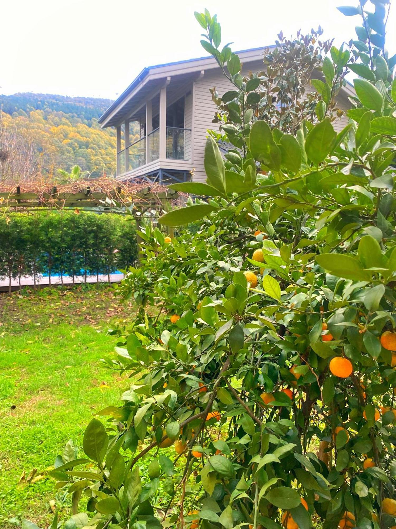 Villa Kirkpinar 사판자 외부 사진
