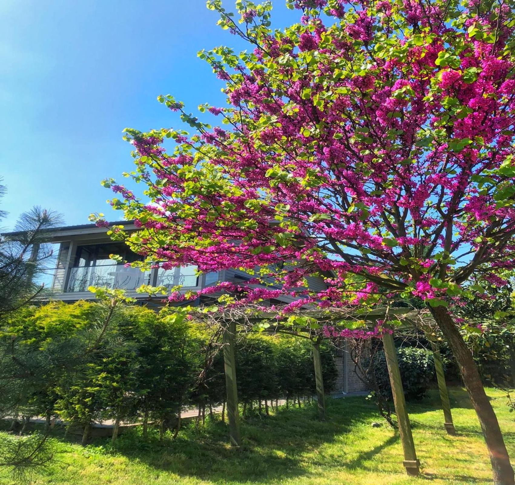 Villa Kirkpinar 사판자 외부 사진